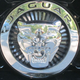 Image for article titled 2014 Jaguar F-Type: The Jalopnik Review
